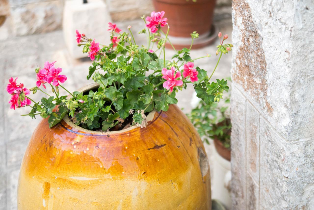 Giardino Segreto Bed & Breakfast Putignano Luaran gambar