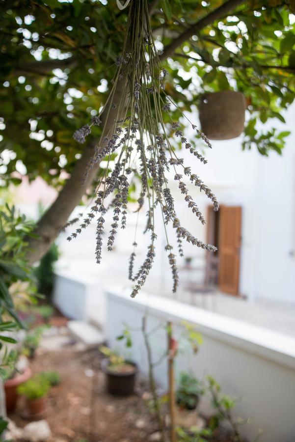 Giardino Segreto Bed & Breakfast Putignano Luaran gambar