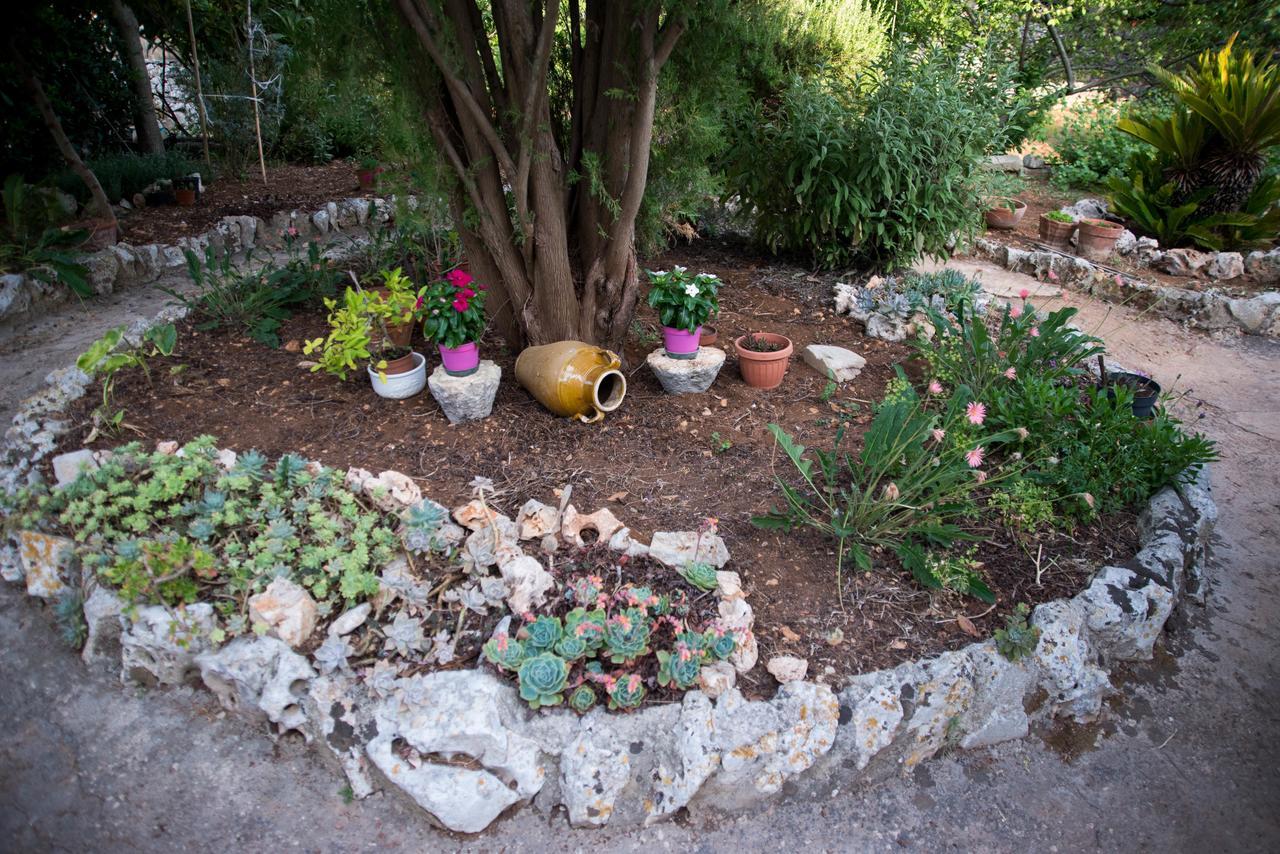 Giardino Segreto Bed & Breakfast Putignano Luaran gambar